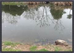 駐馬店置地公園水體治理